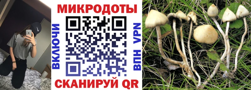 Купить  Снежинск  Галлюциногенные грибы мухоморы 